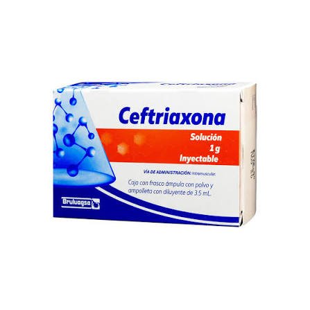 Ceftriaxona 1g 1amp (Bruluagsa) - Farmacia Humus - Infectología