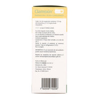 Clamoxín 12H (Amoxicilina/Ác. Clavulánico) 125-31.25mg/5ml 60ml - Farmacia Humus - Infectología